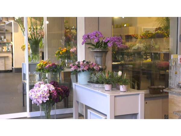 Bild 17 von Blumen Schonsky