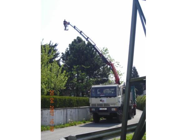 Bild 6 von Sodl Franz Baum- und Gartenservice