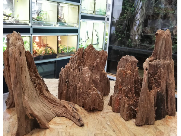 Bild 6 von Zoo Austria - Ihr Profi für Terraristik