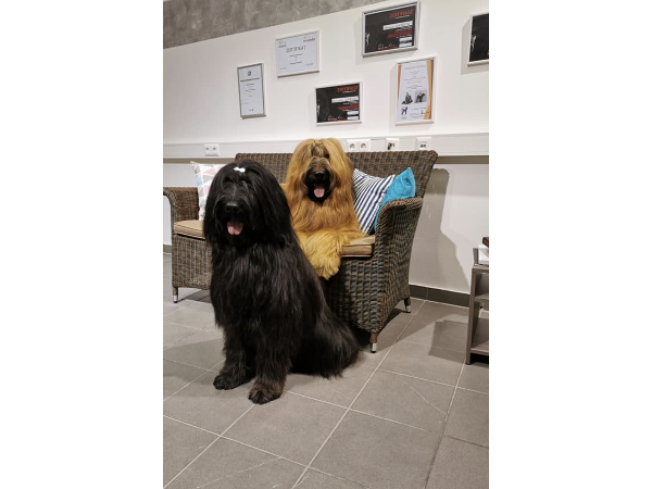 Bild 4 von Klippdog - Michaela Wimböck