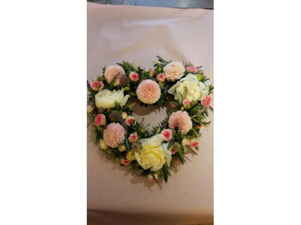Bild 10 von Blumen Gran