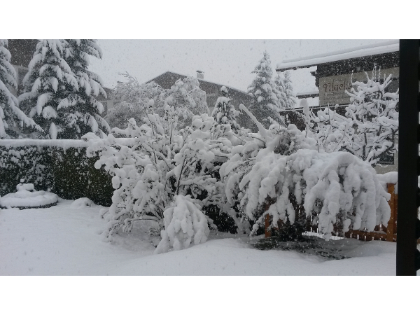 Bild 20 von Appart Pfeifer