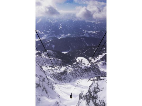 Bild 6 von Linshalm Fotografie