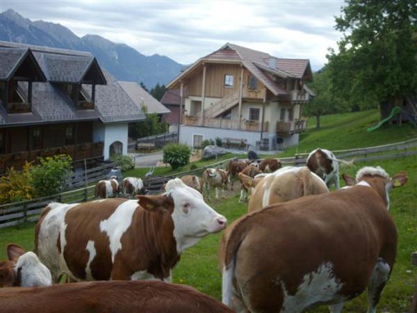 Bild 7 von Schönauerhof