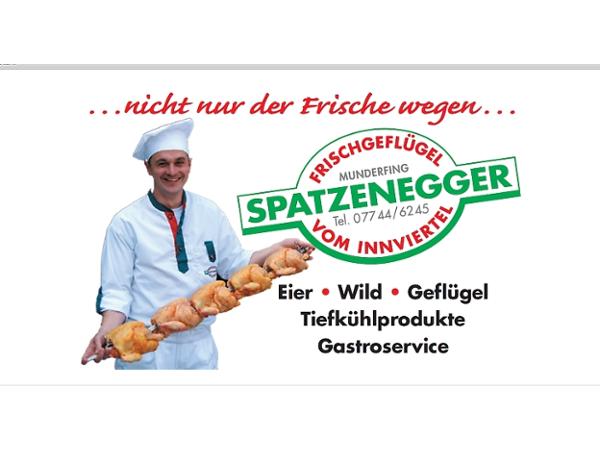 Bild 2 von Franz Spatzenegger