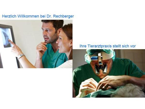 Bild 1 von Dr. med. vet. Rechberger Peter