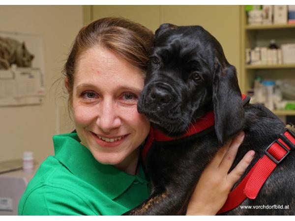 Bild 9 von Kleintierklinik Vitalis Dr. Charlotte Sontas e.U.