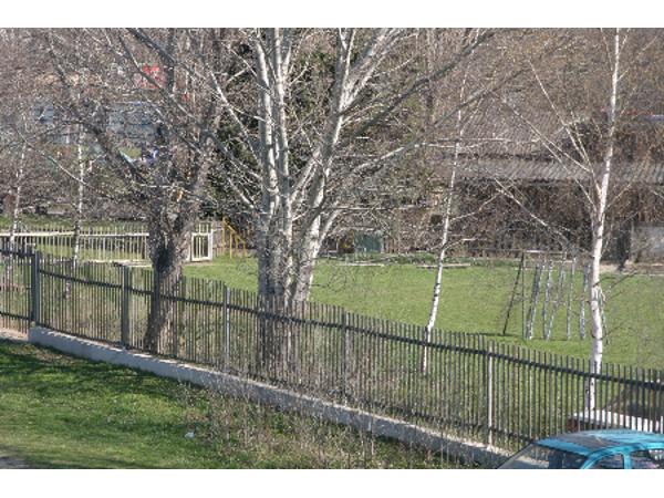 Bild 6 von Wiener Hundeschule