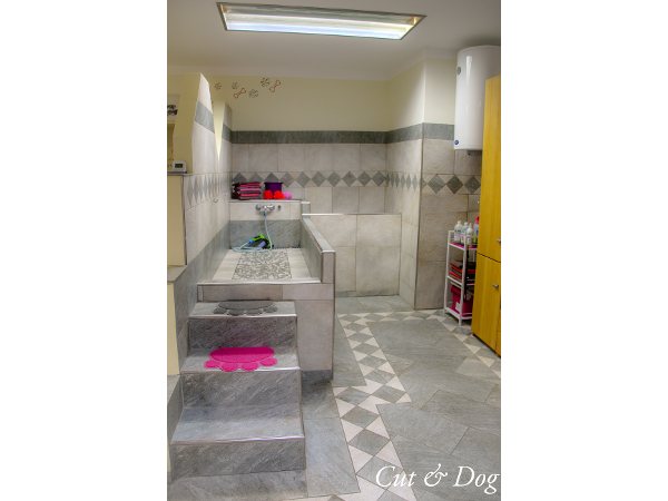 Bild 8 von Hundesalon Cut & Dog