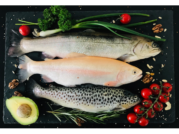 Bild 15 von Royal Fish GmbH