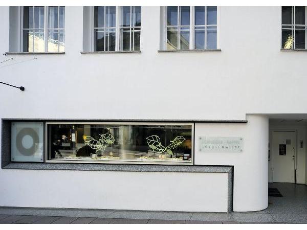 Bild 1 von Schneider GesmbH