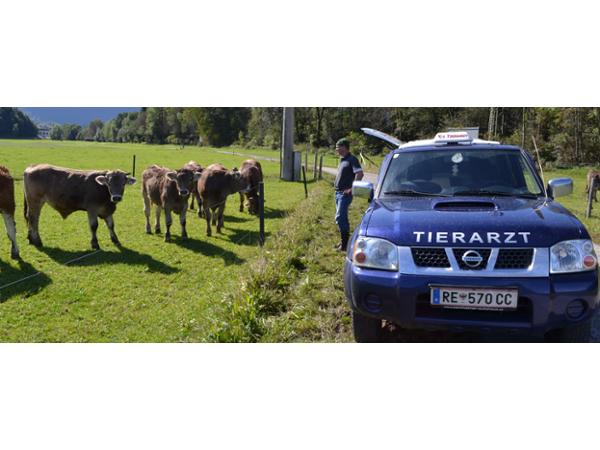 Bild 11 von Dipl. Tierarzt Robert Schatzlmair