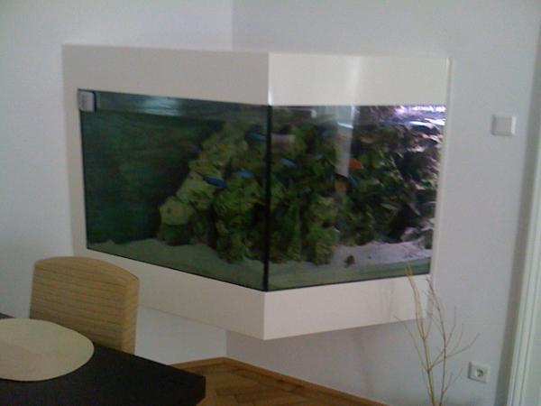 Bild 7 von Zierfisch Zentrum Austria