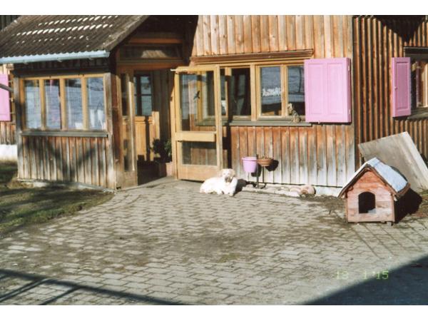 Bild 9 von Ferienhof Iris für Hunde