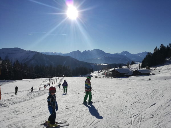 Bild 12 von Reitlhof