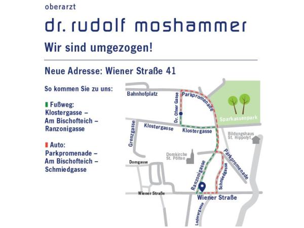 Bild 8 von Dr. Rudolf Moshammer