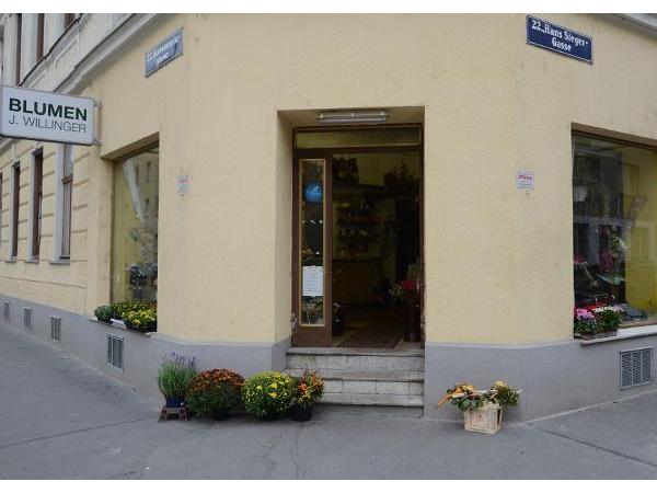 Bild 1 von Blumen Willinger