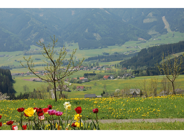 Bild 13 von Gemeindeamt der Gemeinde Gaal