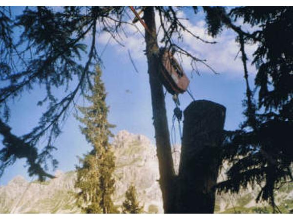 Bild 1 von Bär Florian