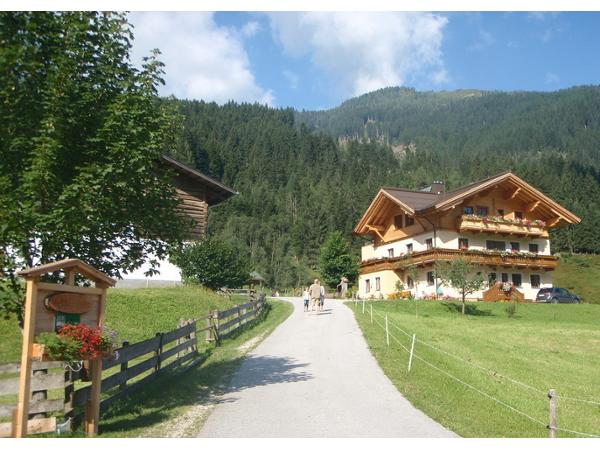 Bild 3 von Öbristhof - Bio Bauernhof