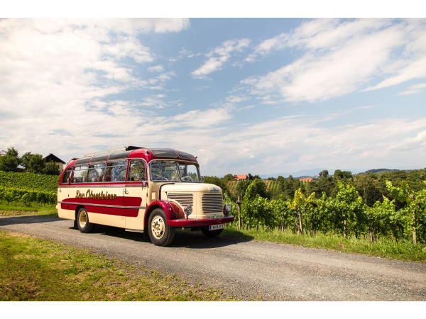 Bild 8 von Zottler Mietwagen und Transporte GmbH