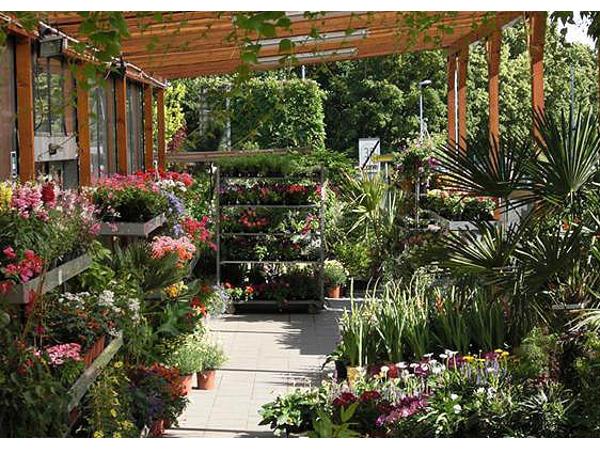 Bild 9 von Michel's Gartenmarkt