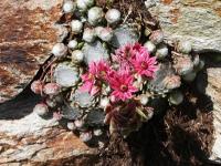 Gartengestaltung LAHER - Gärten fürs Leben