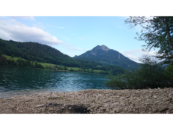 Bild 2 von Steiner Christine Flora Mag.a. - Psychologische Praxis