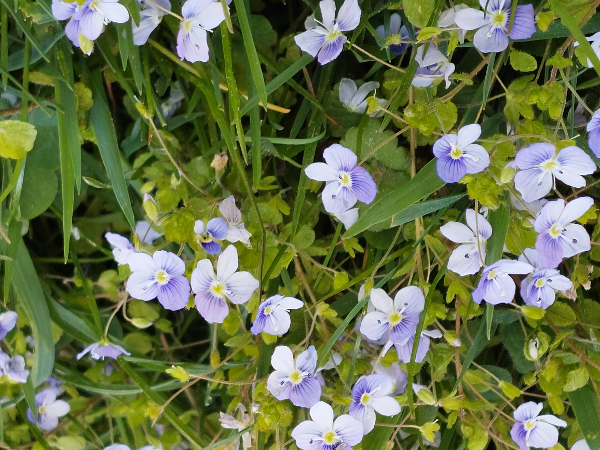 Bild 60 von Haus Christoph