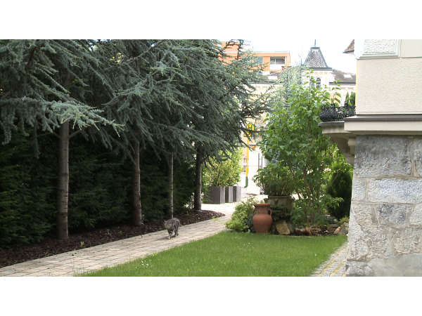 Bild 1 von Arian Gartengestaltung & Reinigungsservice e.U.