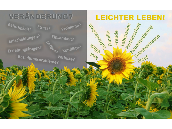 Bild 1 von LeichterLeben.help