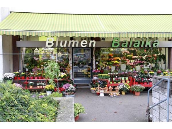 Bild 1 von Balaika Blumen