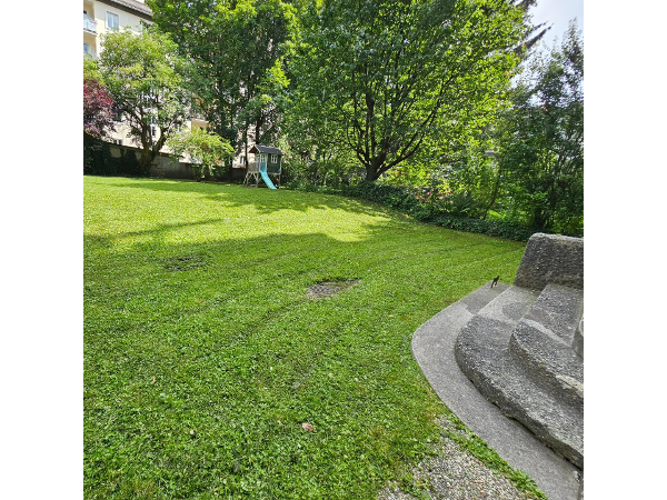 Bild 5 von MT Hausbetreuung
