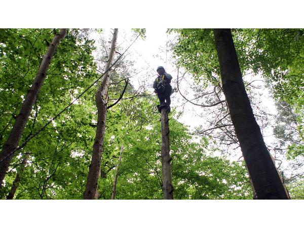Bild 6 von Kletterpark Erlebnispark Geier