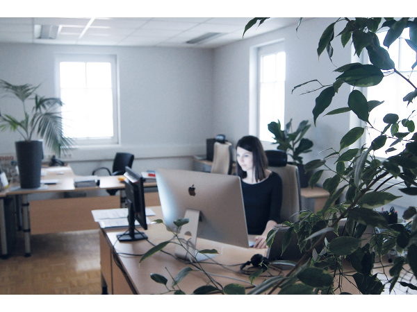 Bild 1 von Code Meets Design GmbH