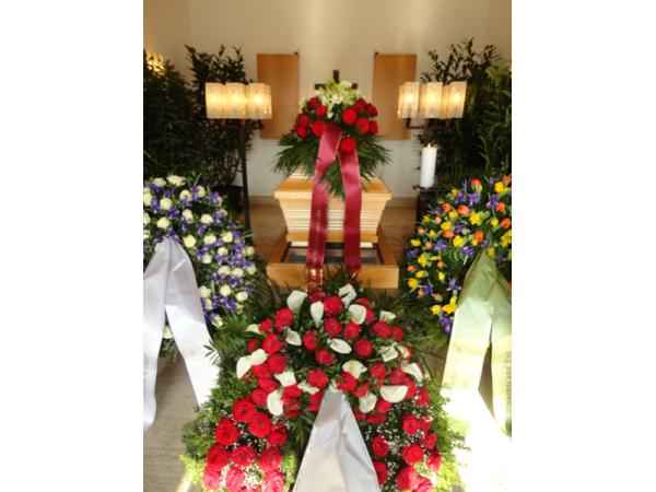 Bild 6 von MAXI Blumen