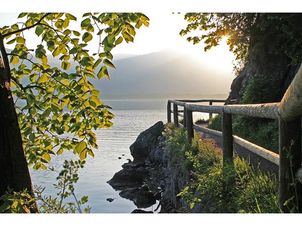 Bild 3 von Wolfgangsee Tourismus GmbH