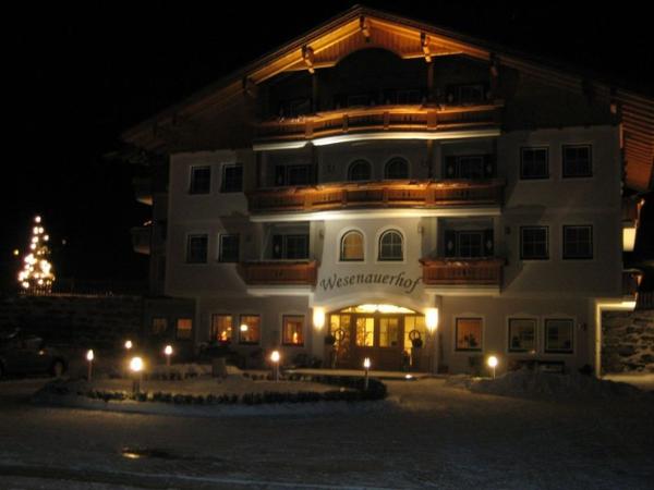 Bild 9 von Apart-Pension Wesenauerhof