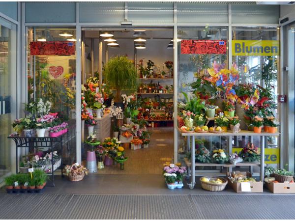 Bild 1 von myFlowers GmbH