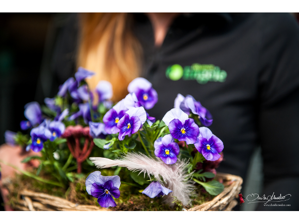 Bild 7 von Blumen Engele - Inh Mario Marbler
