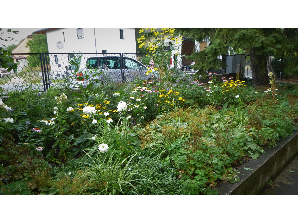 Bild 13 von Rund um Rasen