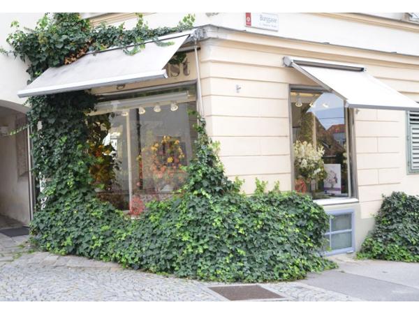 Bild 1 von BURGFLORIST Flora Salon e.U. Rudolf Hajek