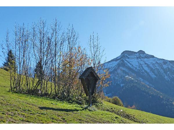 Bild 13 von Schwammerlhütte