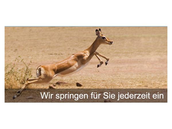 Bild 1 von Personal-Basis Management GmbH