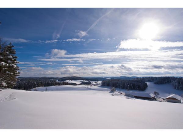 Bild 1 von Gästehaus Neubauer***