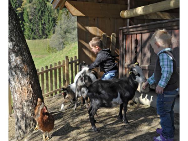Bild 7 von Bauernhof-Pension Irxner