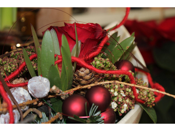 Bild 16 von Blumen Resinger