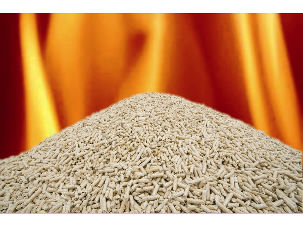 Bild 11 von RZ Pellets Wiesenau GmbH