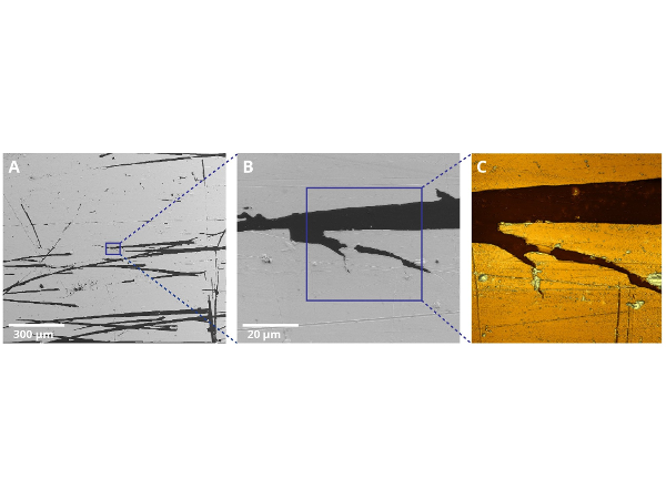 Bild 3 von GETec Microscopy GmbH