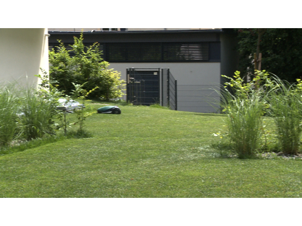 Bild 3 von Arian Gartengestaltung & Reinigungsservice e.U.